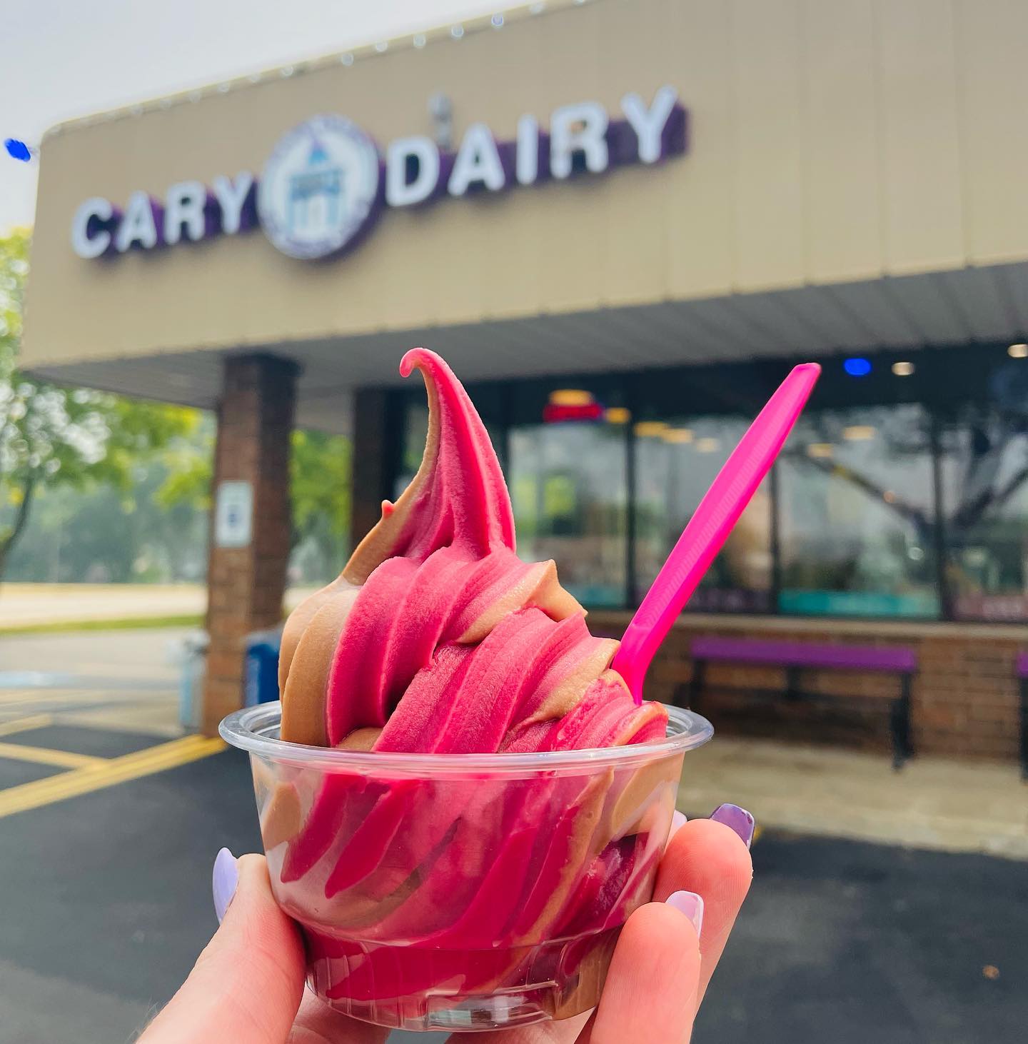 Cary Dairy Ice Cream Café - We Cary Memories;